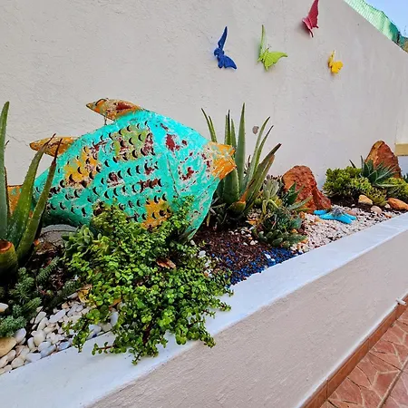 Apartamento Brisa Da Carvoeiro (Lagoa)